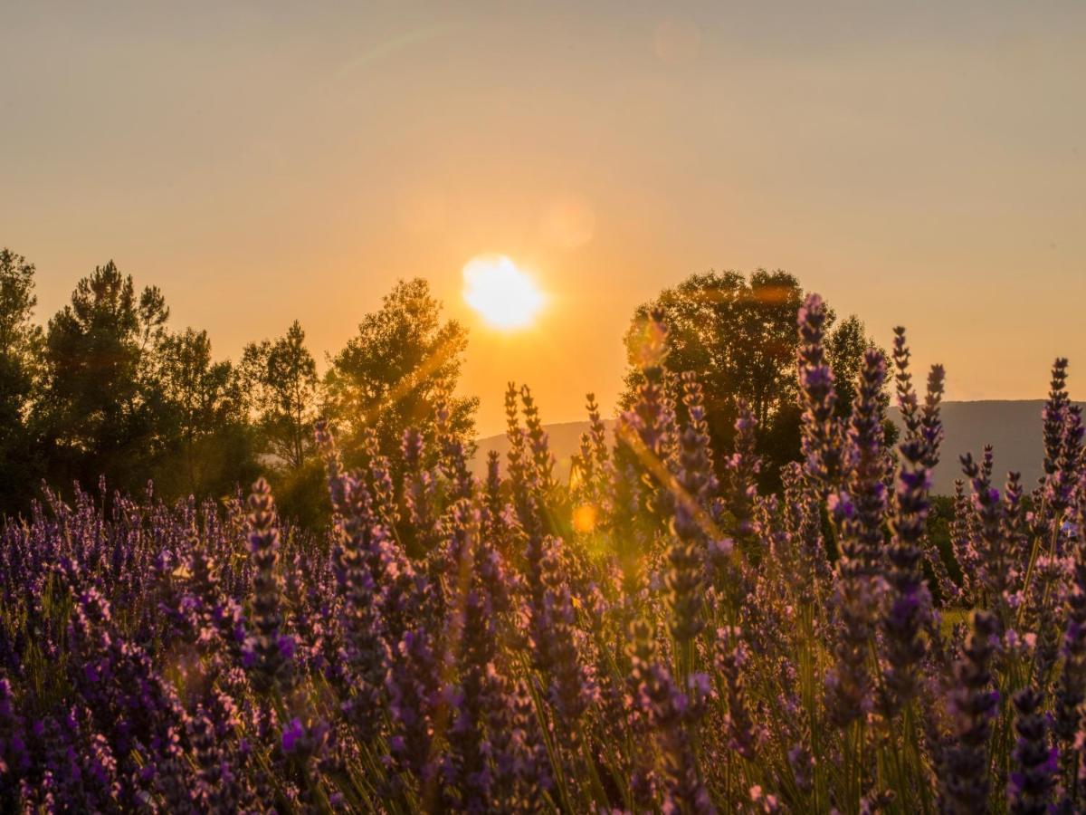 ホテル Domaine Du Frigoulet Vagnas エクステリア 写真